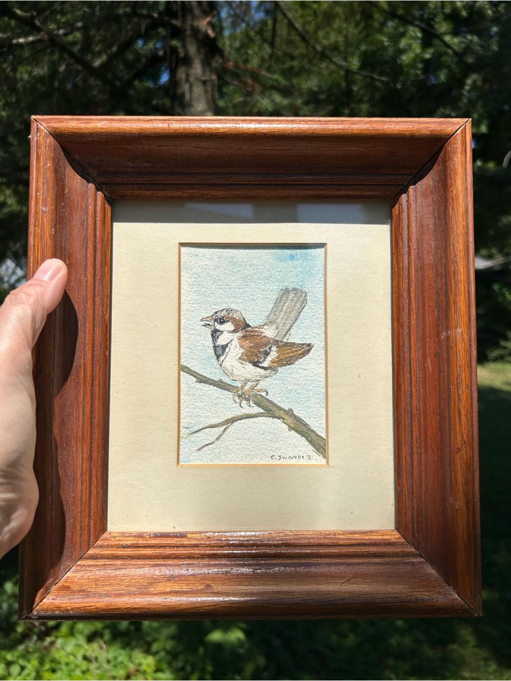 Vintage Art Framed Sparrow Bird Painting Watercolor Signed 10x11